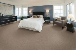 Image depicting the Service Carpet